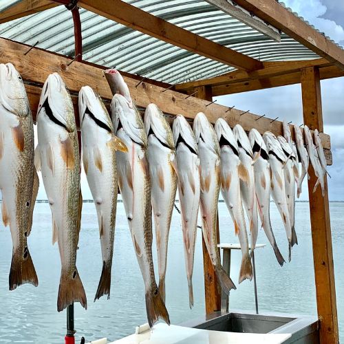 Fishing charter in South Padre Island