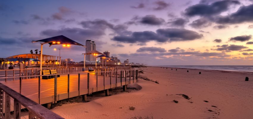 wildlife tours south padre (4) South Padre Island in Texas is home to diverse coastal ecosystems and rich biodiversity.