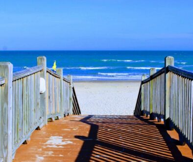 Wooden boardwalk leading to the beach, a starting point for eco tours south padre island.