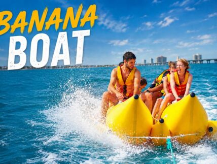 ★ ★ ★ ★ ★ (280 Reviews)