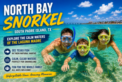 Snorkeling South Padre Island. Things to do for Kids in South Padre Island