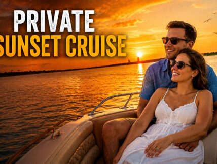 ★ ★ ★ ★ ★ (892 Reviews)