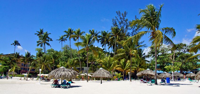 Tropical palm-lined beach offering easy quick weekend getaways.
